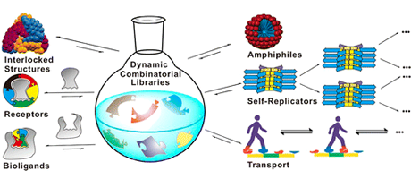 Example applications for Dynamic Combinatorial Libraries