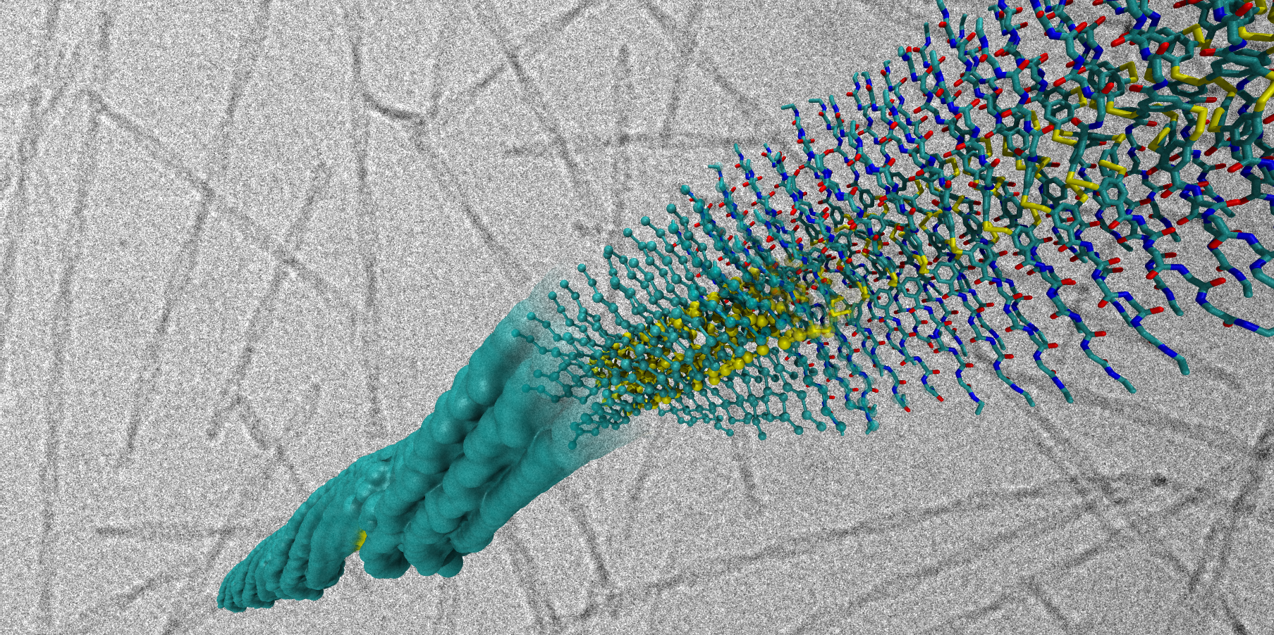 Supramolecular polymer at different resolutions (copyright RSC)