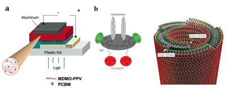 a) a schematic representation of a polymer (in this case MDMO-PPV)-fullerene derivative (PCBM) heterojunction [2]. b) the structure of a C8S3 molecule and the double-walled nanotube aggregate [1].