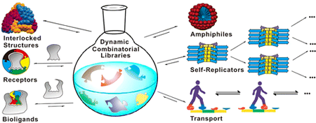 Example applications for Dynamic Combinatorial Libraries