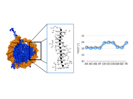 Measuring DNA-protein interactions