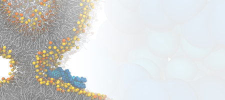 Membrane fusion facilitated by DNA