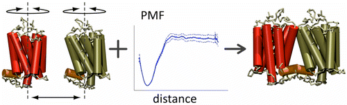 The binding energy of GPCR dimers predicts their mode of assembly.