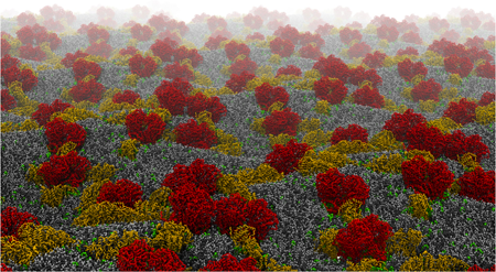 Supercomplexes of cytochrome bc1 (red) and cytochrome c oxidase (orange) formed in a mitochondrial model membrane containing cardiolipins (green).