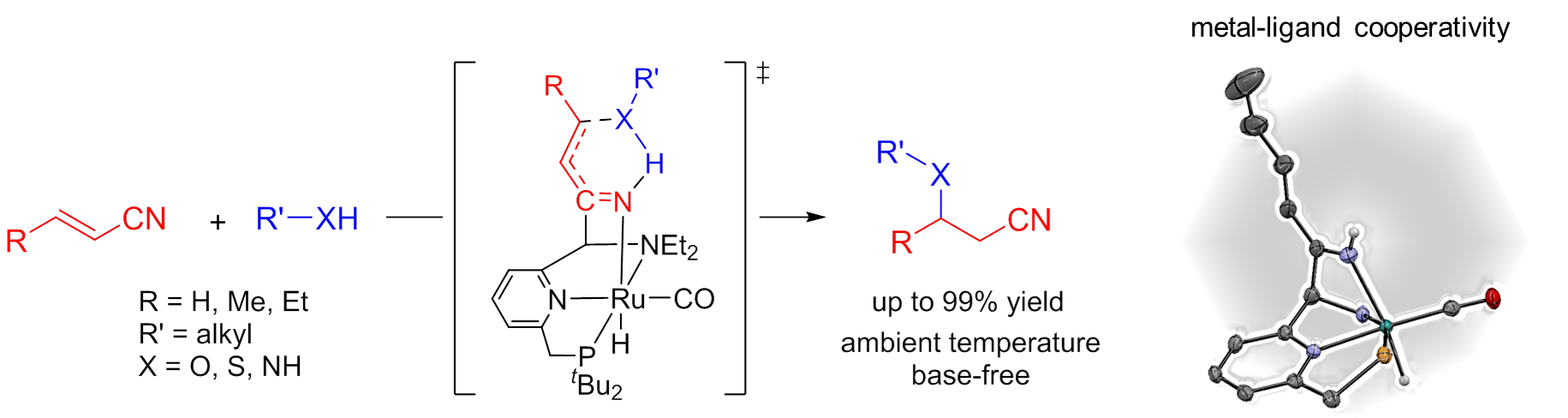 oxa-Michael addition catalysis