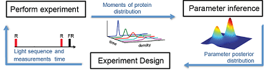 Figure C: Iterative experiment design using optogenetic stimulation [6]