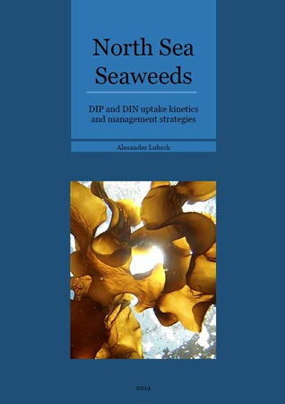 Thesis Alexander Lubsch: North Sea Seaweeds: DIP and DIN uptake kinetics and management strategies