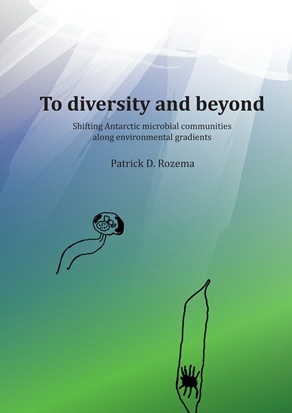 thesis about diversity