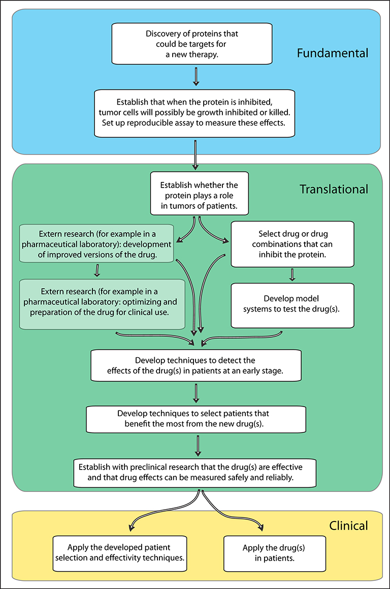 Flowchart of translational research