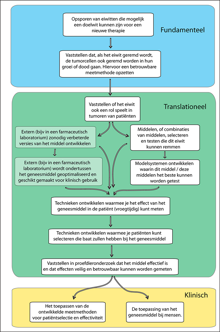 Flowchart of translational research
