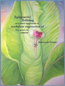 Fahimeh Falahi dissertation