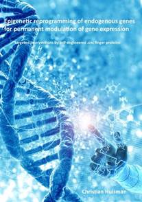 Christian Huisman dissertation