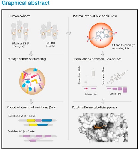 Graphical Abstract