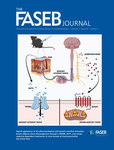 FASEB Journal 2022