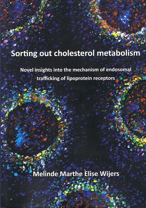 Cover Thesis Melinde Wijers