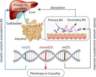 PLOS Microbiome