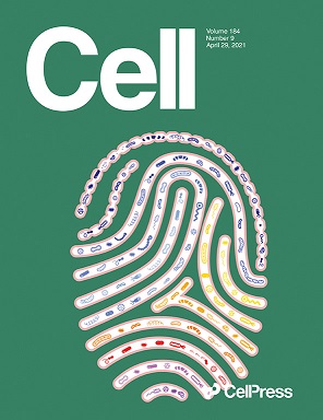 Cover Cell