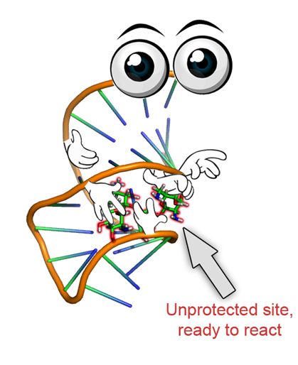 Mr. Aptamer