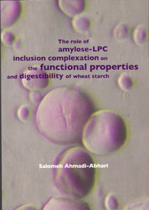 PhD thesis Salomeh Ahmadi-Abhari
