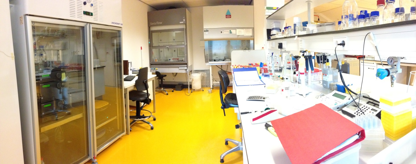 Algemeen lab