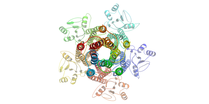 Biomolecular X-ray Crystallography Group