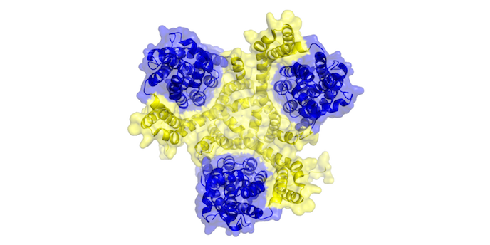 Biomolecular X-ray Crystallography Group