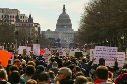 Protest at the Capitol