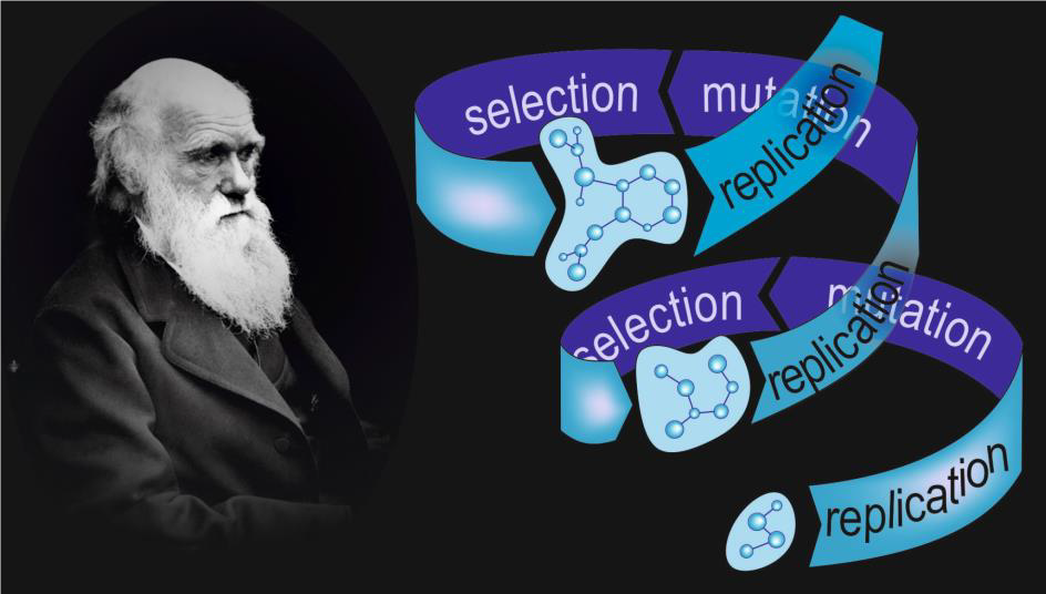 Darwin Evolution