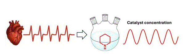 Like the heartbeat drives life through rhythm, oscillating catalysis will bring time-based control to chemical reactions and enable dynamic processes with higher efficiency and selectivity.