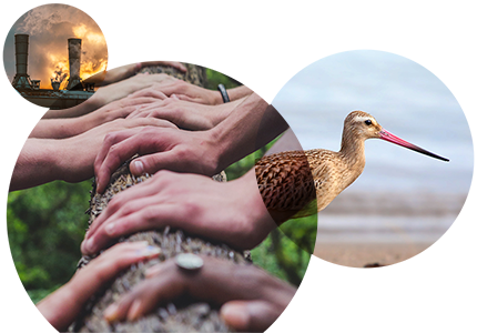 Sustainable themes