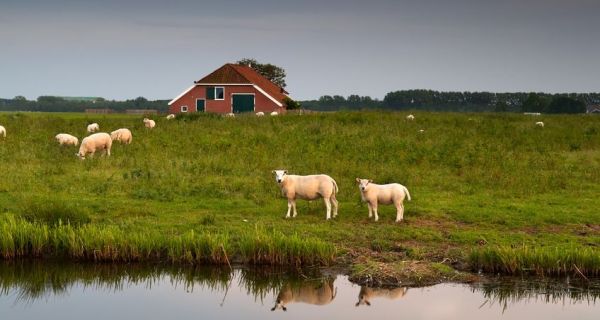 Liveable & Resilient Communities