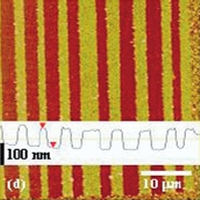 Silver nanowires deposited on a ferroelectric thin film by Kalinin et al.