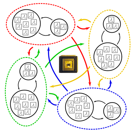 Recurrent Competitive Networks overview