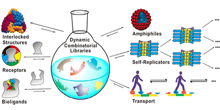 Systems Chemistry