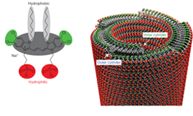 Molecular structure of dye C8S3 and idealized model of the nanotube that forms upon self-assembly
