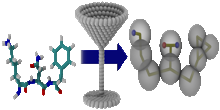 Coarse-Grain Models