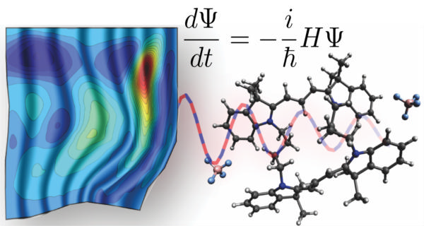 Theory of Condensed Matter