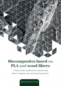PhD thesis Renato Lemos Cosse