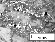 Microplasticity and debonding in steels