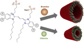 Steering self-assembly of amphiphilic molecular nanostructures via halogen exchange