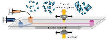 Schematic view of the experimental setup to study self-assembly pathways