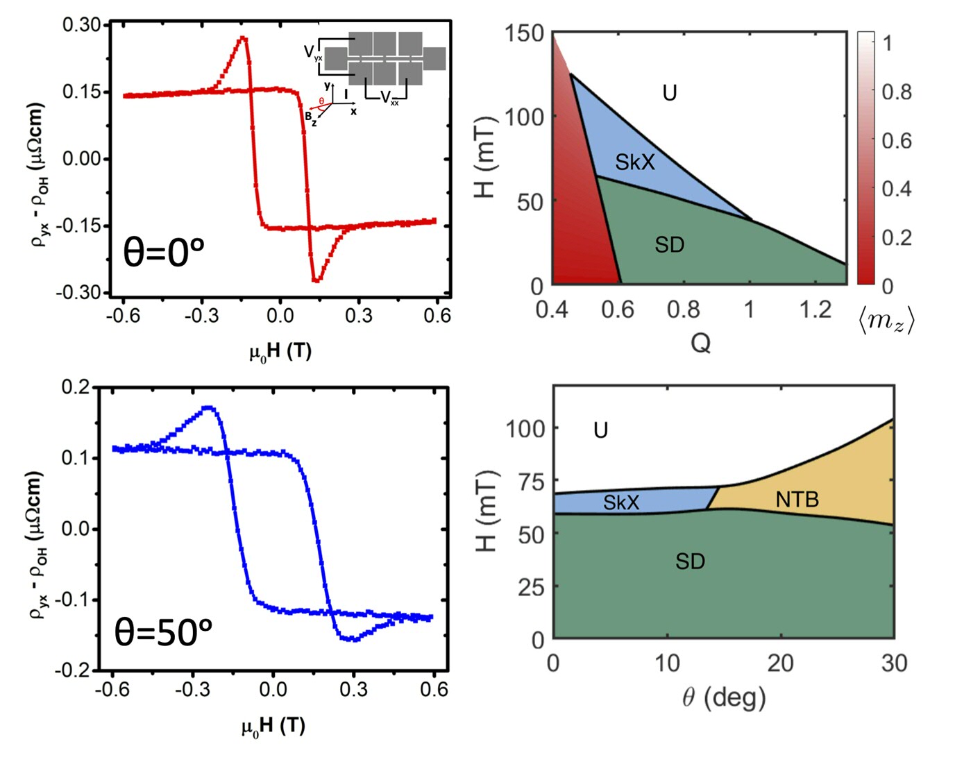 Resilience and Adaptability: New pathways with Skyrmion bubbles