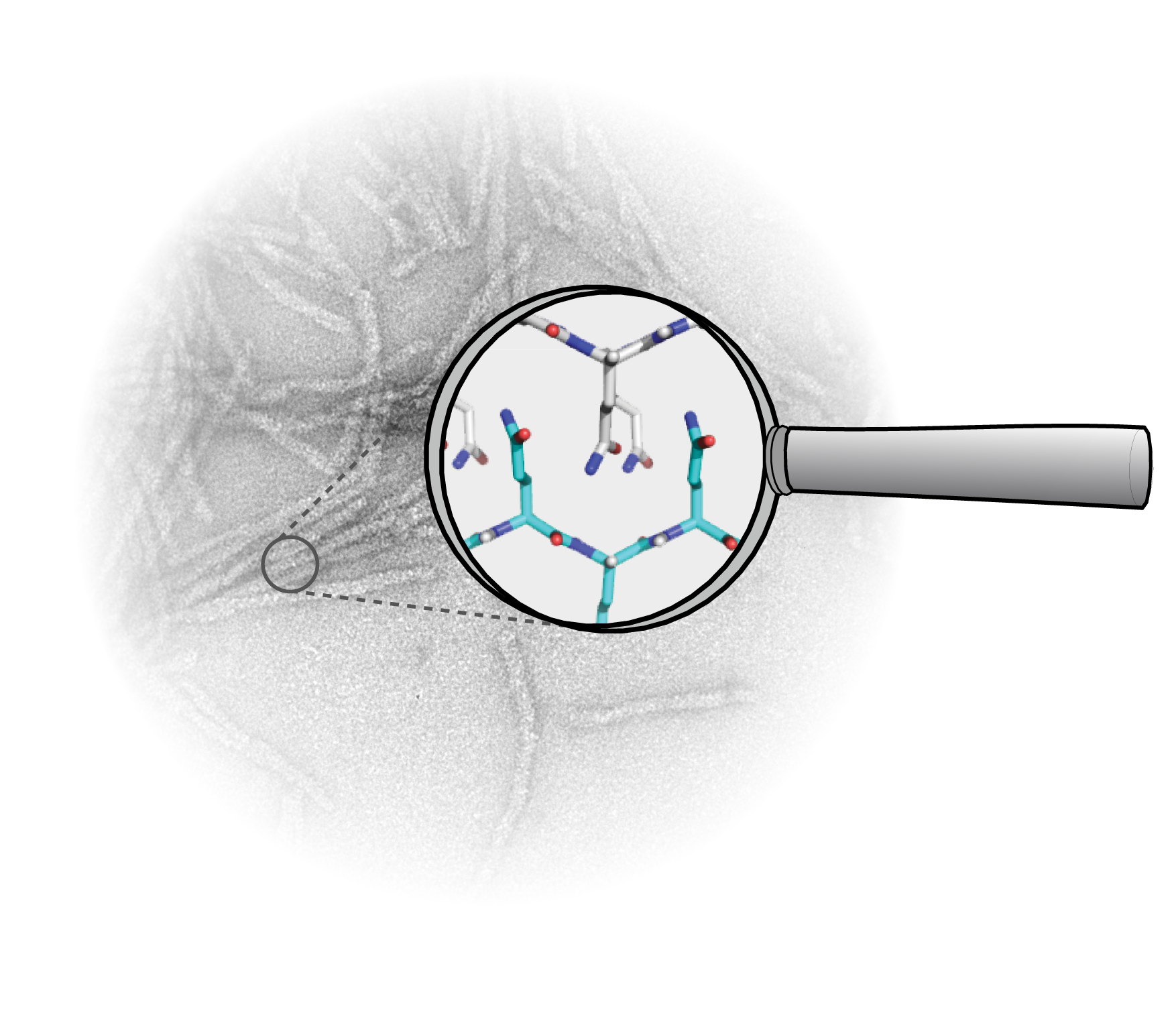 A closer look at the insides of protein filaments with solid-state NMR