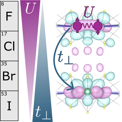 Trimerized Niobium Halides: An Ideal Quantum Laboratory