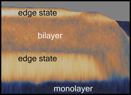 Scanning tunneling microscopy image of a manganese bilayer island on a manganese monolayer, measured at the Fermi energy and showing the edge states at the boundaries. The image width is approximately 7 nm. (Figure credits to Felix Zahner, University of Hamburg)