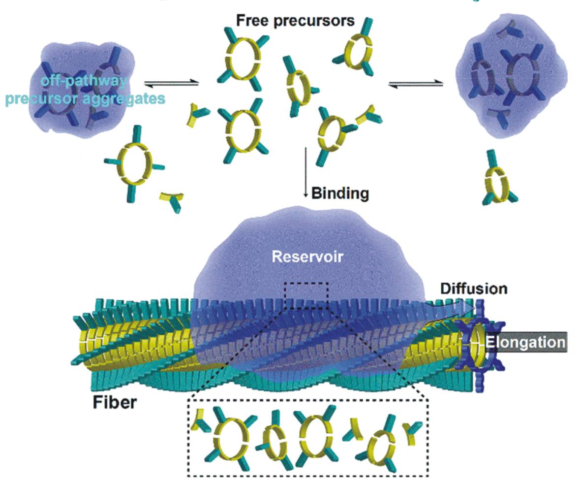 Reservoir assisted growth