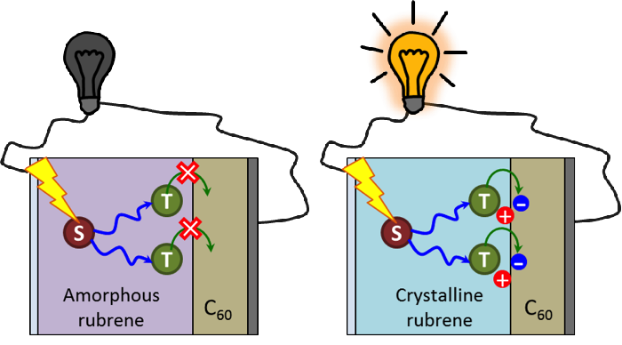 One makes two: collecting triplet excitons in organic solar cells