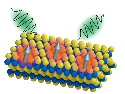 Guimaraes's cake: Tungsten ditelluride magneto-optics