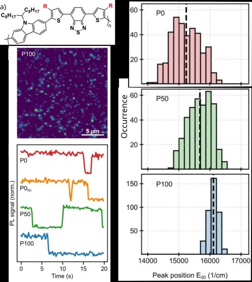 Structure-Property Relationships in Conjugated (Co-)Polymers