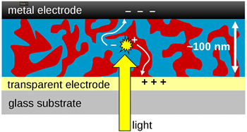 Fig. 2. Structure of typical BHJ solar cell illustrating how charges move in the donor (red) and the acceptor (blue) towards the electrodes.